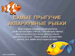 Бесплатно скачать презентацию для школы Самые прыгучие аквариумные рыбки