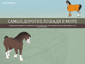 Бесплатно скачать презентацию для школы Самые дорогие лошади в мире