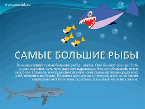 Бесплатно скачать презентацию Самые большие рыбы (акулы)