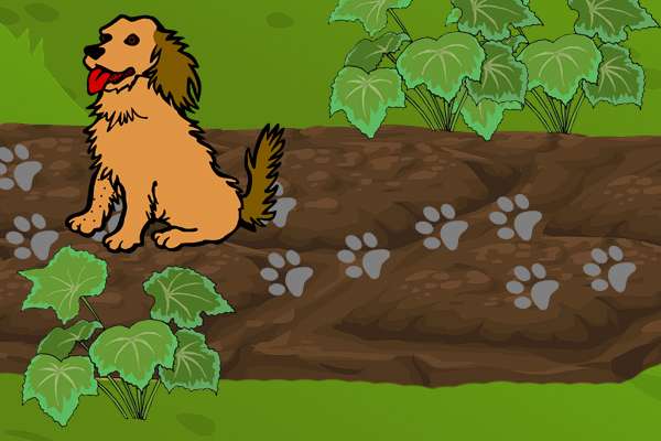 Сидящая собака, вспаханное поле, собачьи следы, иллюстрация рисунок картинка