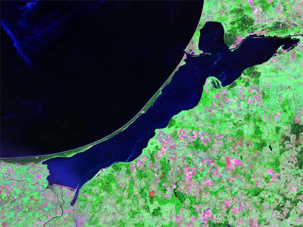 Спутниковое фото Калининградского залива, фото фотография болезни рыб