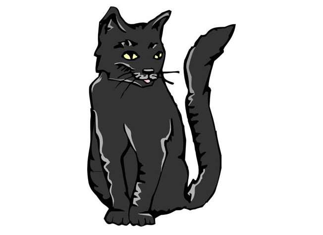 Черная кошка, рисунок картинка, сказки для детей о животных