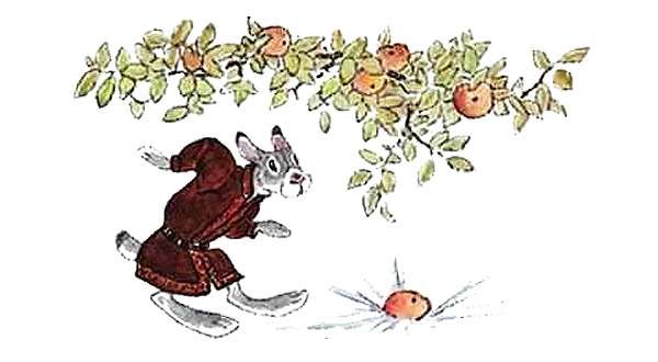 Перед зайцем упало яблоко, рисунок картинка