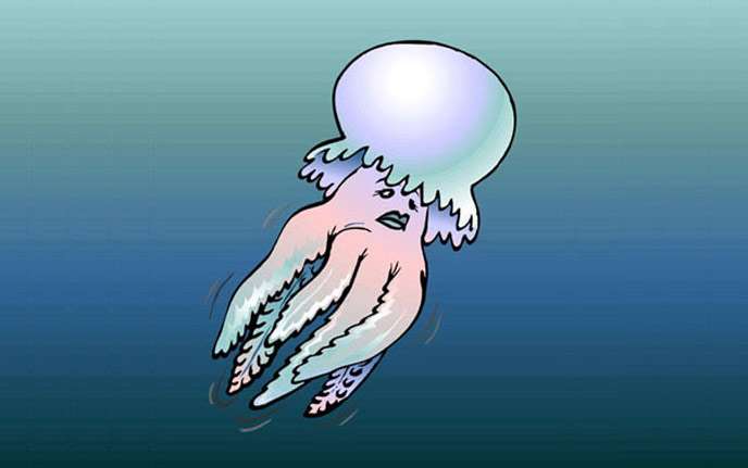 Обманутая медуза, рисунок картинка клипарт