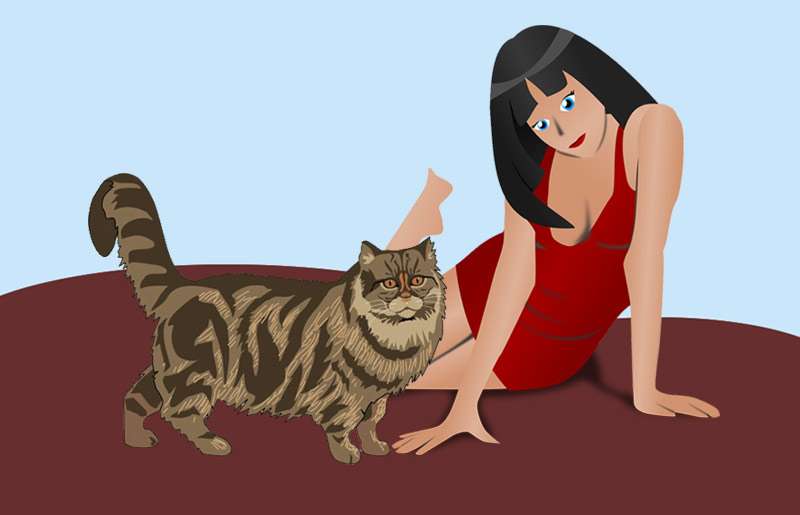 Кошка и женщина, рисунок картинка сказки о животных