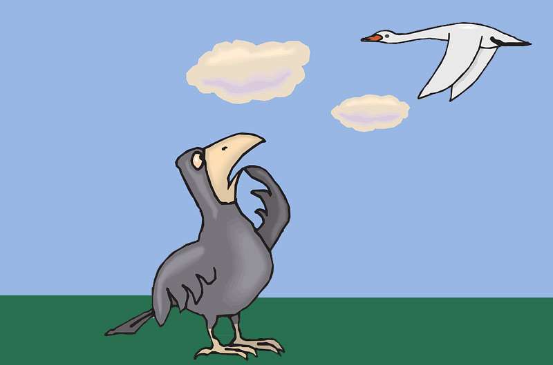 Ворона наблюдает за полетом лебедя, рисунок картинка сказки о животных 