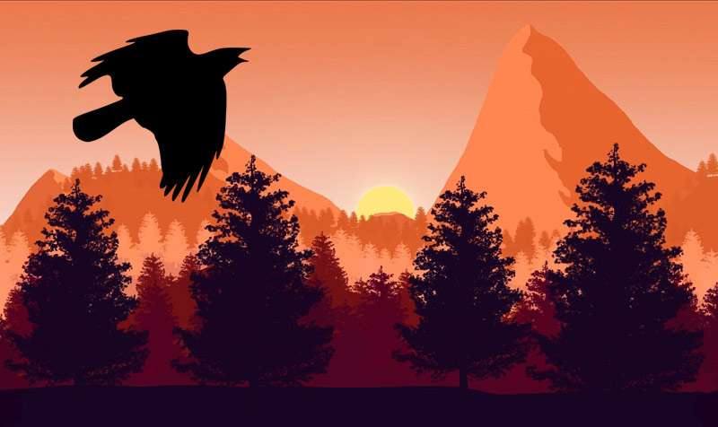 Силуэт ворона на фоне заката, фото легенды о животных фотография птицы
