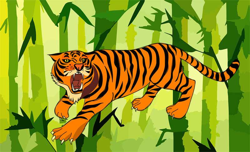 Злой тигр, рисунок картинка сказки народов мира о животных 