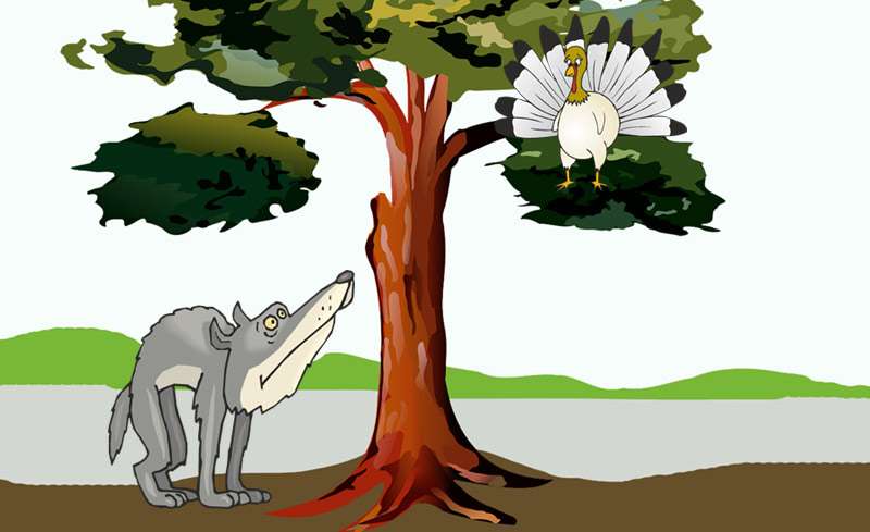 Койот и индейка на дереве, рисунок картинка сказки легенды о животных для детей 