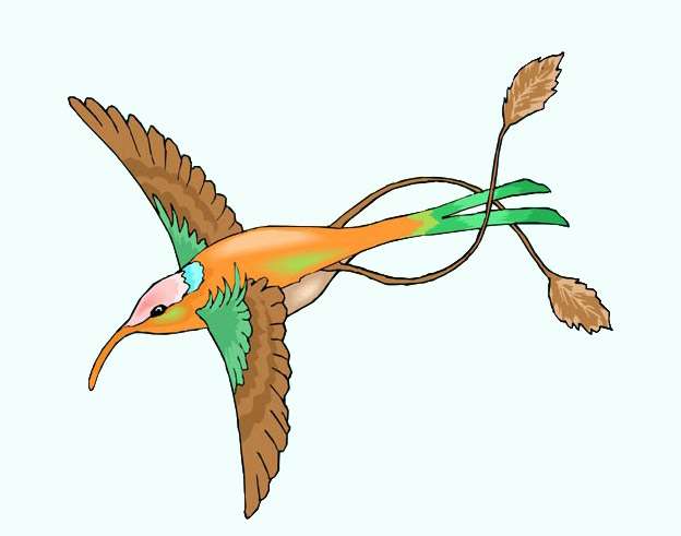 Колибри, рисунок картинка сказки о животных для детей