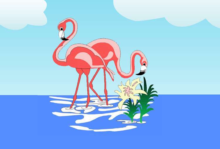 Фламинго, рисунок картинка сказки для детей