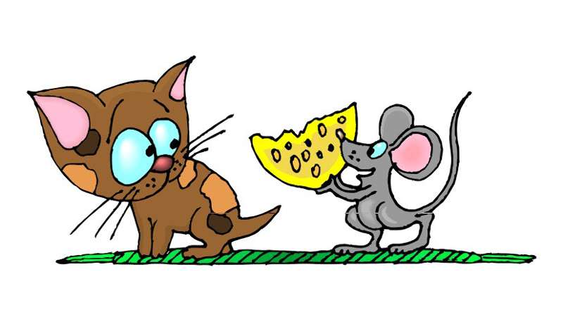Мышка предлагает кошке сыр, смешная картинка рисунок
