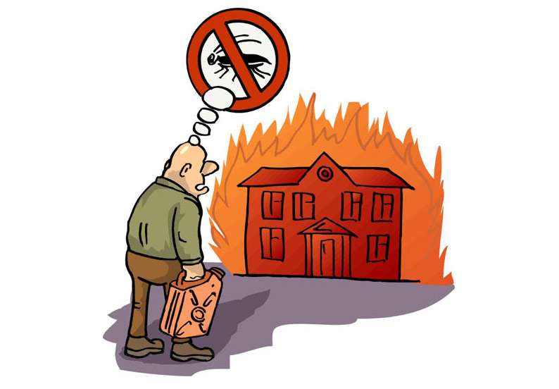 Мужчина сжег дом пытаясь избавиться от тараканов, рисунок картинка иллюстрация