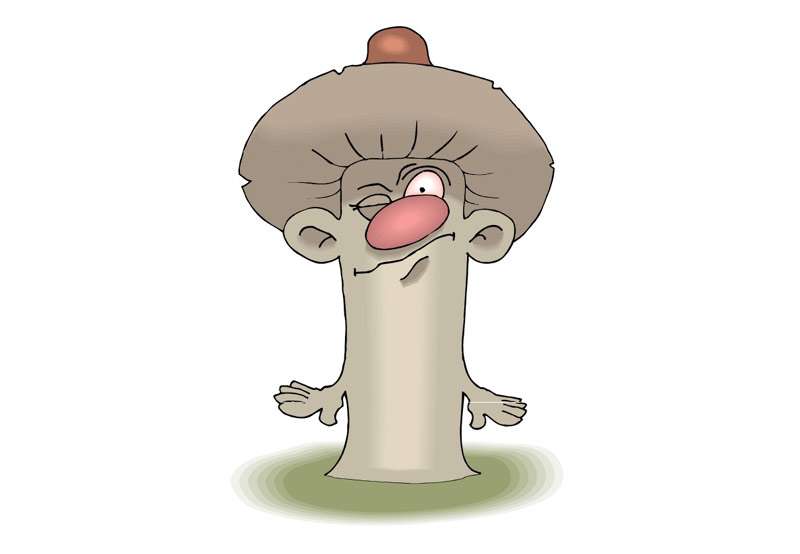 Удивленный гриб, смешной рисунок картинка