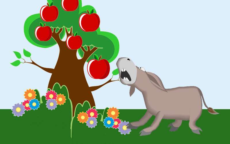 Осел пытается сорвать яблоко с дерева, рсунок картинка иллюстрация к сказке