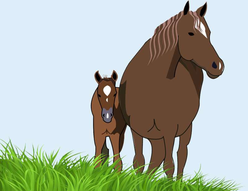 Лошадь и жеребенок, рисунок картинка