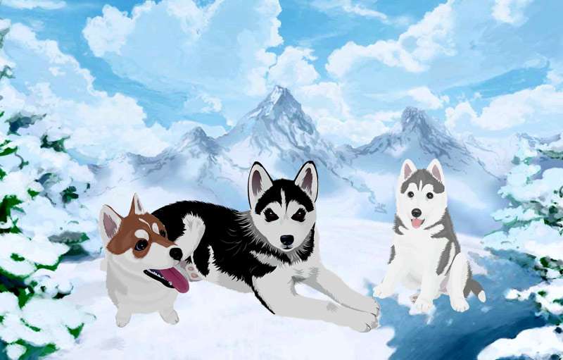 Три собаки лежат на снегу, рисунок картинка иллюстрация к сказке