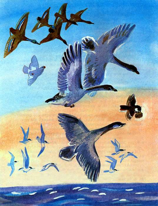 Птицы летят за воробьем, чтобы отобрать у него хлеб, иллюстрация рисунок