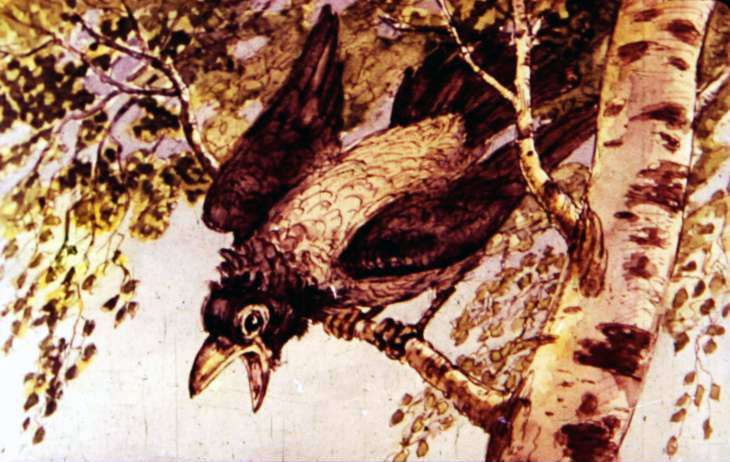 Воронушка - Черная головушка сидит на дереве, рисунок иллюстрация