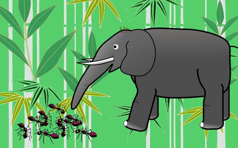 Слон и муравьи, рисунок иллюстрация к сказке