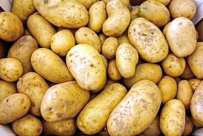 Клубни картофеля, фото фотография овощи