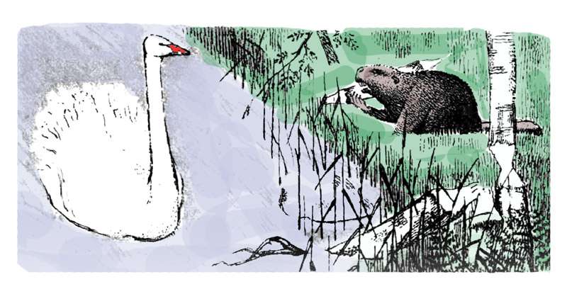 Ледедь и бобер, рисунок иллюстрация к сказке
