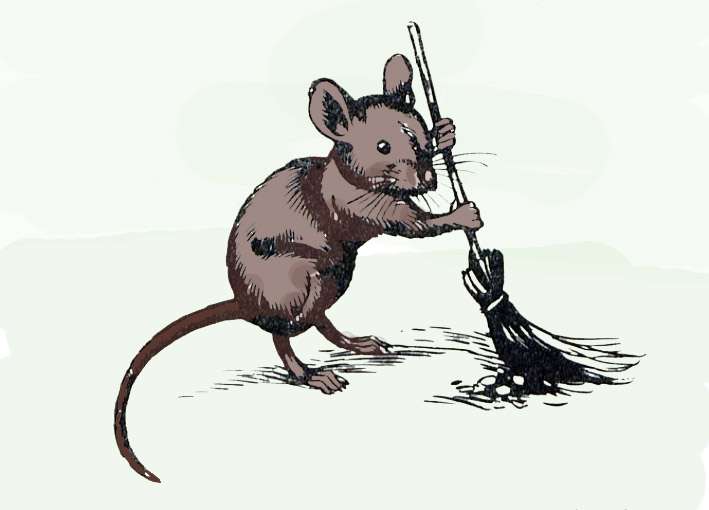 Мышка подметает пол, рисунок иллюстрация к сказке