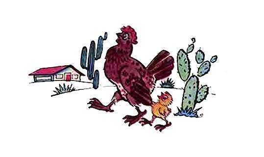 Мама-курица ведет Кокина в школу, рисунок иллюстрация к сказке