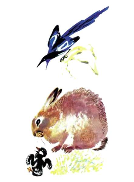 Утенок, заяц и сорока, рисунок иллюстрация к сказке