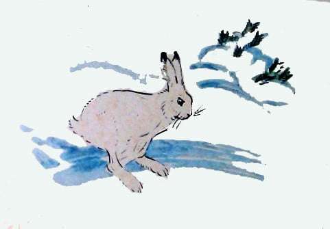 Заяйц убегает в лес, рисунок иллюстрация