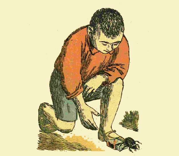 Мальчик отпускает жука, рисунок иллюстрация
