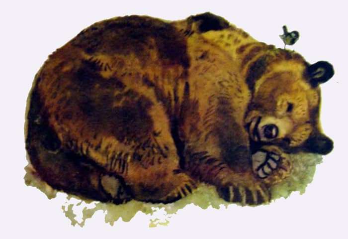 Воробей Воробыш в берлоге медведя, рисунок иллюстрация