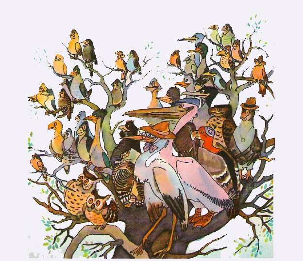 Собрание птиц, рисунок иллюстрация