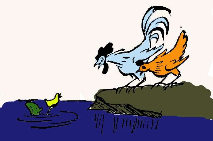 Огуречик спасает цыпленка, рисунок иллюстрация