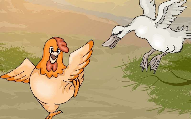 Курица убегает от утки, иллюстрация