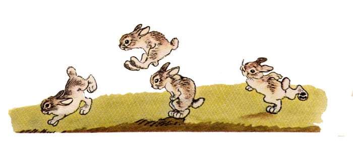Зайчата играют в чехарду, иллюстрация рисунок к сказке