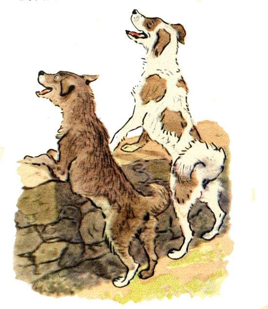 Собаки обещают волкам овец, рисунок иллюстрация к сказке
