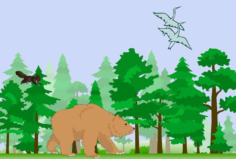 Испуганный медведь уходит из леса, рисунок иллюстрация