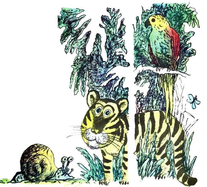 Попугай, улитка и тигренок, рисунок иллюстрация