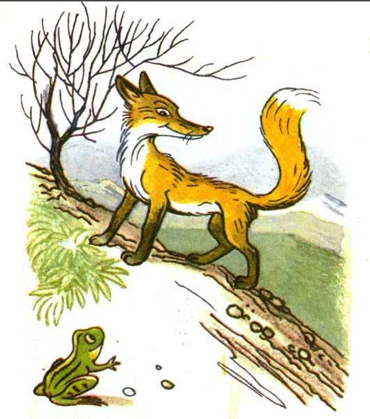 Лягушка и лисица, рисунок иллюстрация