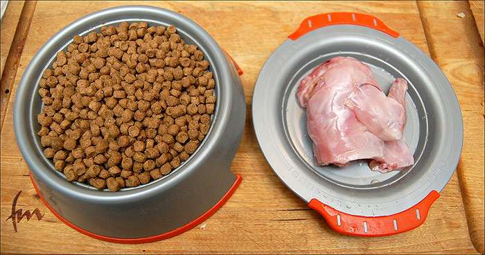 Кусок кролика и сухой кошачий корм, фото фотография