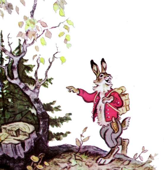 Заяц и белка, рисунок иллюстрация