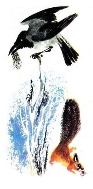 Ворона и белка готовят гнезда для своих малышей, рисунок иллюстрация