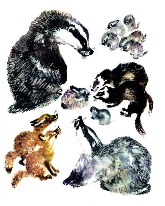 Зайчонок и другие звери, рисунок иллюстрация