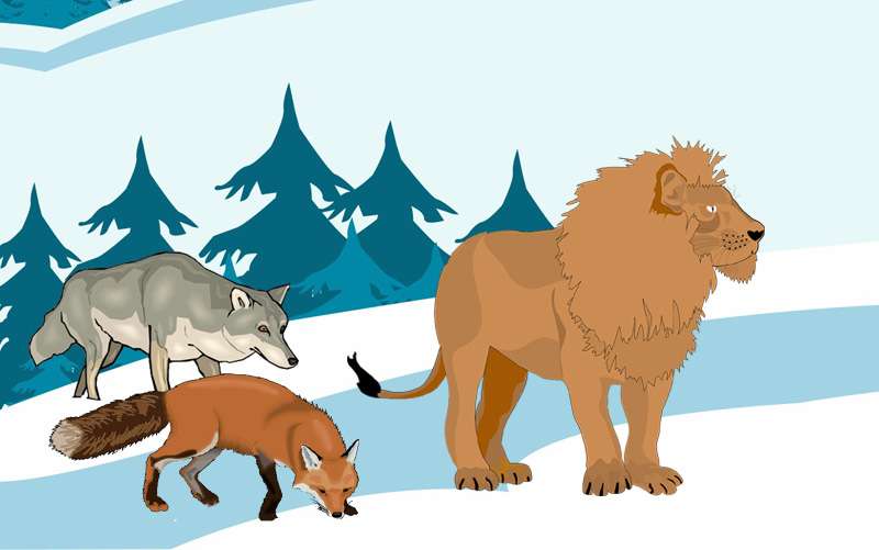 Лев, волк и лиса вышли на охоту, рисунок иллюстрация
