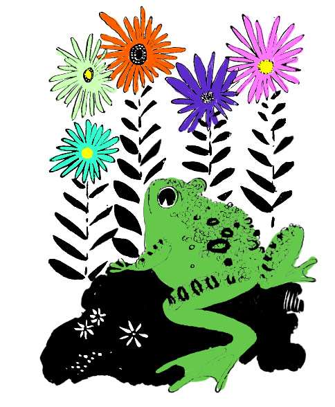Жаба и цветы, рисунок иллюстрация