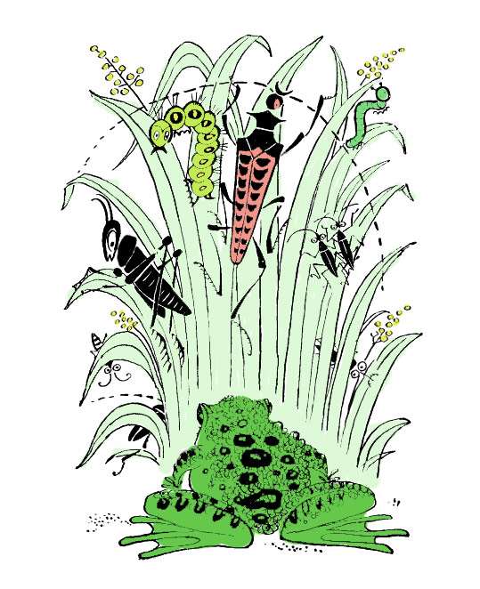 Жуки, слизняки и гусеницы хотят избавиться от жабы, рисунок иллюстрация