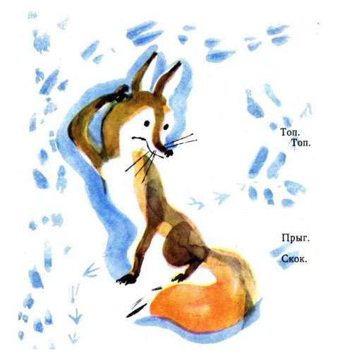 Озадаченная лисица, рисунок иллюстрация