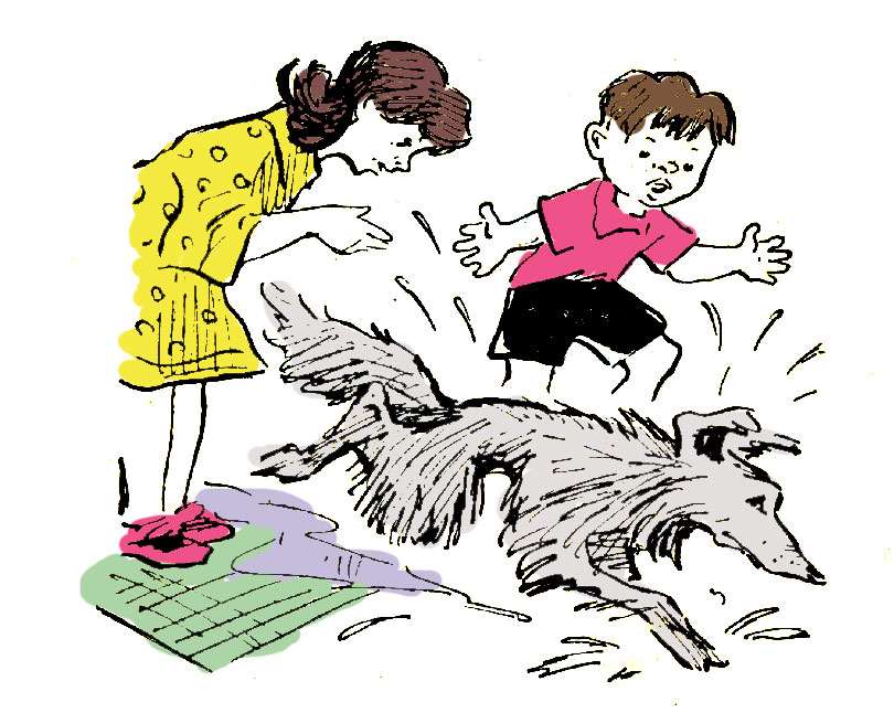 Мокрый пес бежит по квартире, рисунок иллюстрация