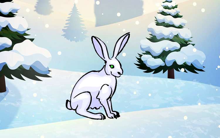 Белый заяц зимой, рисунок иллюстрация